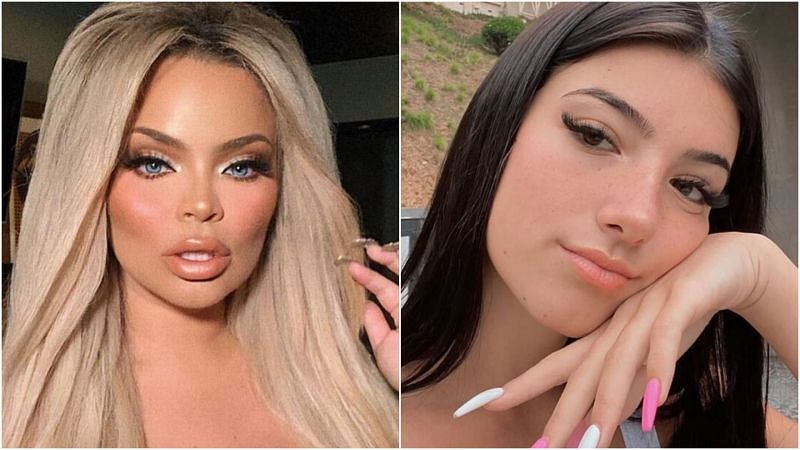 Trisha Paytas continues to feud with Charli D&#039;Amelio and her family