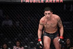 UFC veteran Diego Sanchez calls out Dan Hardy among others; promises him 'a warrior's death'