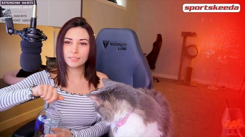 Twitch streamer Alinity has been involved in multiple crazy incidents.