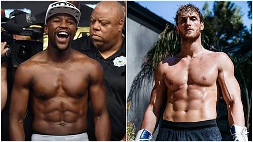 Logan Paul recently called out Floyd Mayweather on Instagram, where he trash-talked the undefeated boxer