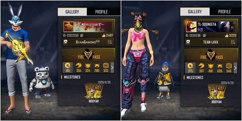 Free Fire IDs of both the YouTubers