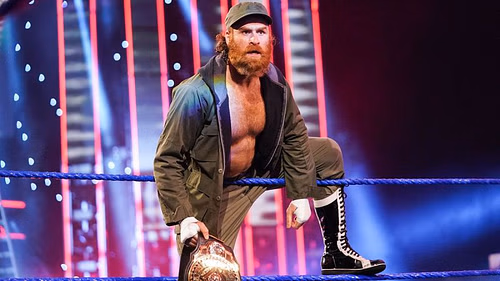 Sami Zayn's success on the WWE main roster has been limited to two reigns with one title