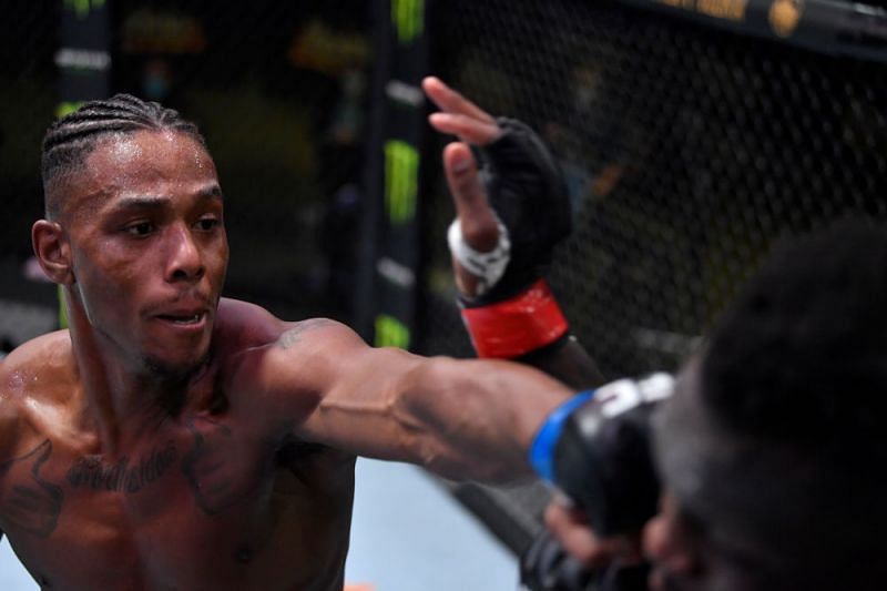 Jamahal Hill should move into UFC title contention following his win over Ovince St. Preux.