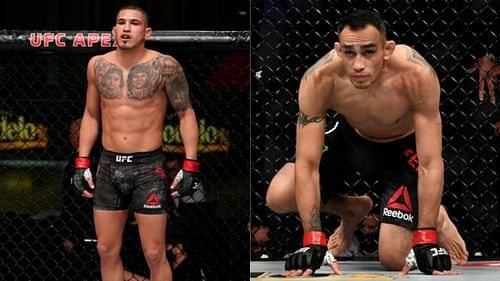 Anthony Pettis and Tony Ferguson