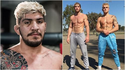 Dillon Danis has called out the Paul brothers