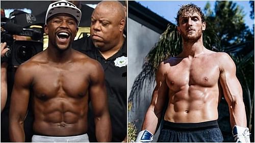 Floyd Mayweather and Logan Paul.