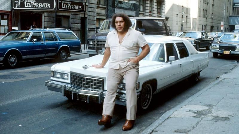 Andre the Giant worked for WWE from 1973 to 1991