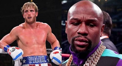 Logan Paul and Floyd Mayweather will fight on 20th February, 2021