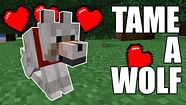 How To Tame A Wolf In Minecraft