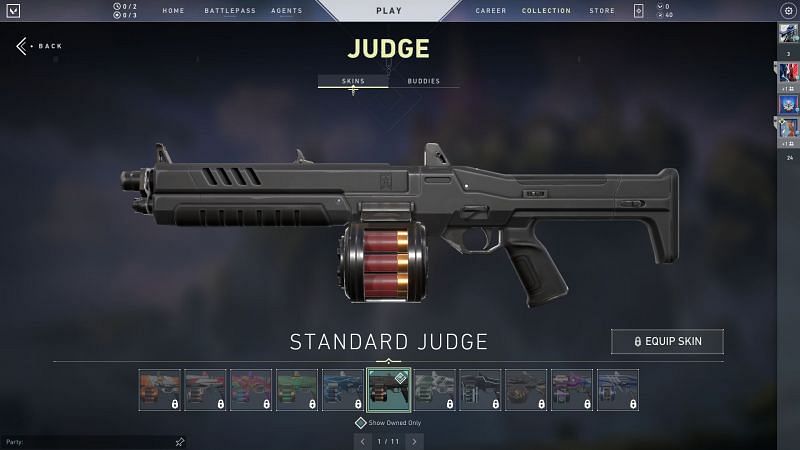 Judge Screengrab via Valorant Store 