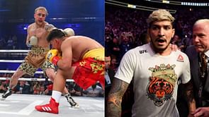 How will a boxing match between Dillon Danis and Jake Paul go?