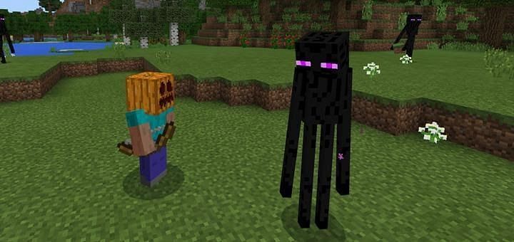 Standing in a pool of water can protect you from the Enderman
