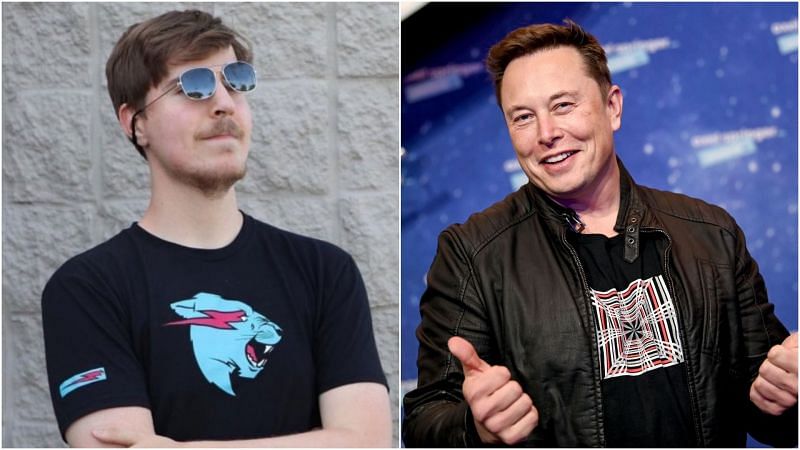 MrBeast&#039;s dream collaboration would be with Elon Musk