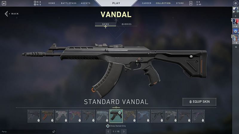 Vandal Screengrab via Valorant Store