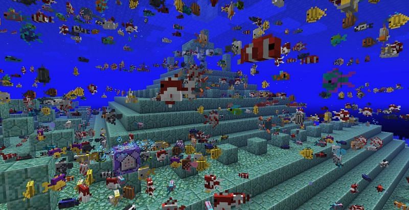 How to find Tropical Fish in Minecraft
