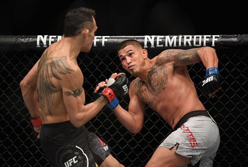 UFC 229: Ferguson v Pettis