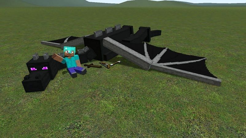 Speedruns in Minecraft are successfully completed when players kill the Ender Dragon (Image via wtbblue.com)