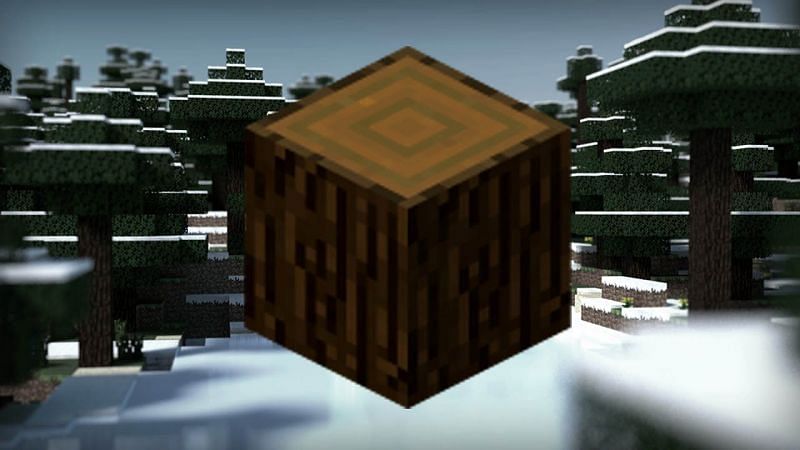 Obtaining spruce wood in Minecraft (Image via MineCrafting/YouTube)