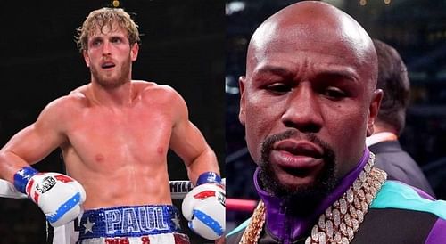 Logan Paul (left); Floyd Mayweather (right)