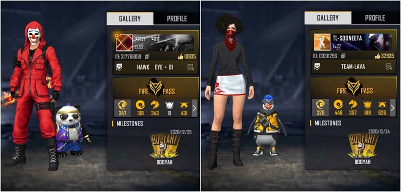 Free Fire IDs of both YouTubers 