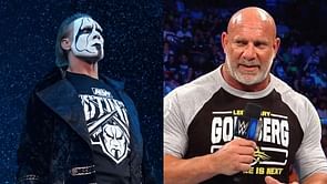 Goldberg sends a heartfelt message praising Sting