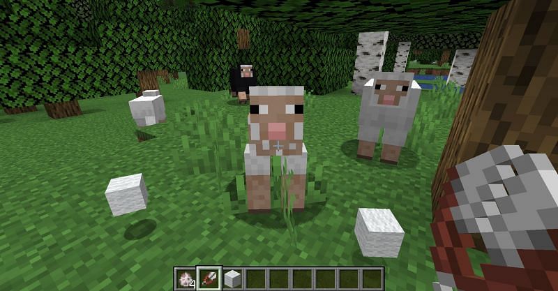 A brief guide on how to obtain the &quot;Have a Shearful Day&quot; achievement in Minecraft Bedrock Edition. (Image via Minecraft)