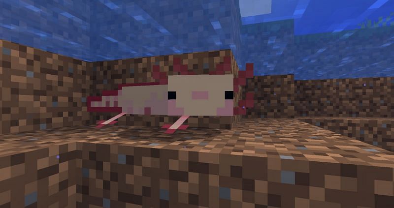 Image via Minecraft