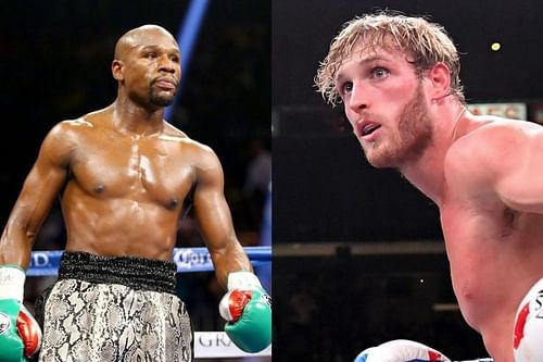 Floyd Mayweather set to fight Logan Paul next year