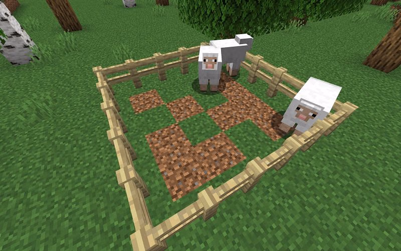 What do sheep eat in Minecraft?