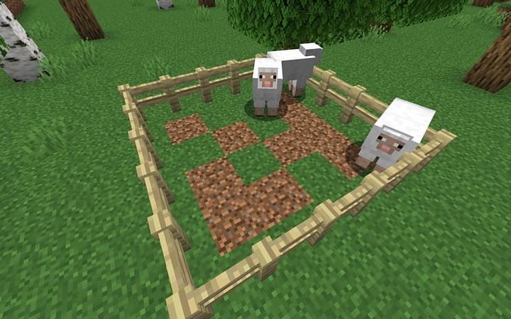 What do sheep eat in Minecraft?