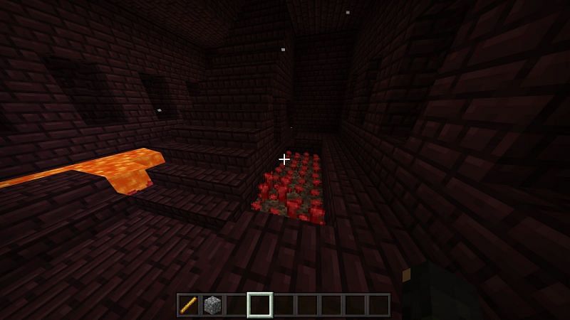 This is the nether wart you will need to brew your fire resistance potion