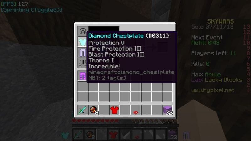 What does Fire Protection do in Minecraft?