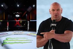 Watch: Dana White tells fans how they can attend UFC 259 live