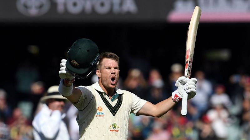 David Warner celebrates after scoring a triple hundred