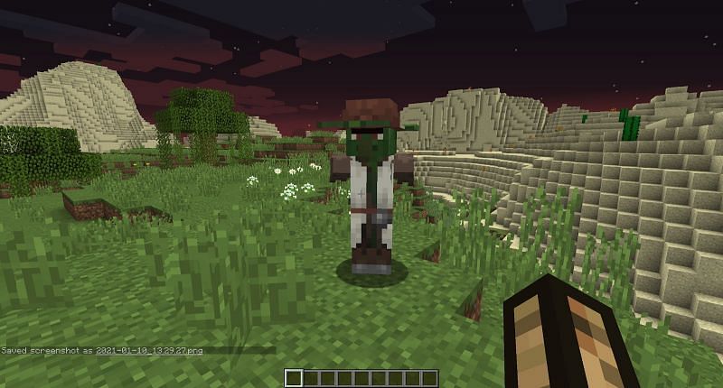 How to Cure a Zombie Villager in Minecraft with Potion?