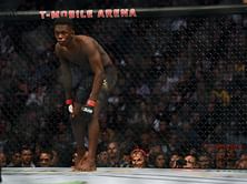 Predicting the UFC champions at the end of 2021: who will hold the gold in the UFC?
