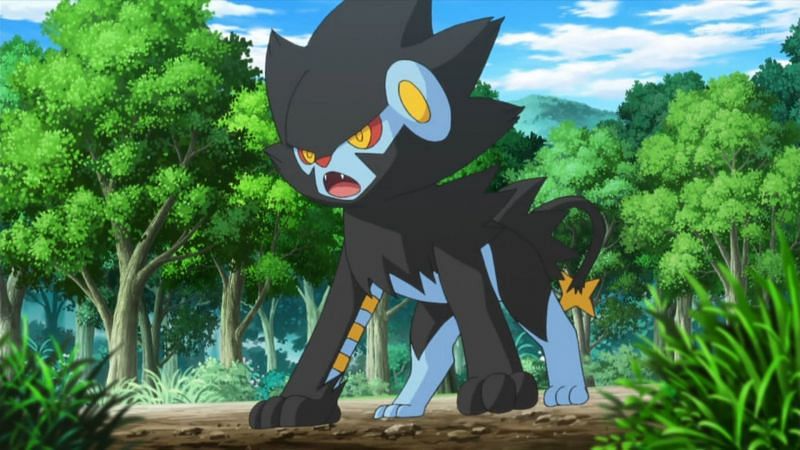 ☇ Shinx ☇, Wiki