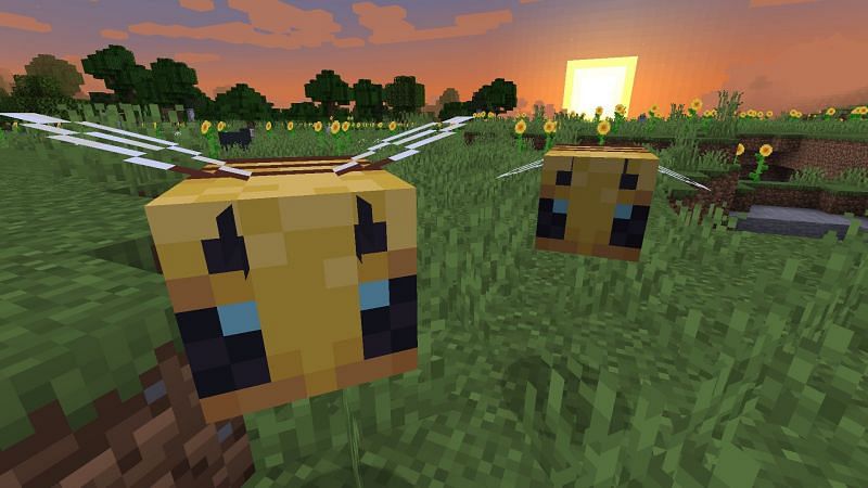 Minecraft resourceful bees гайд