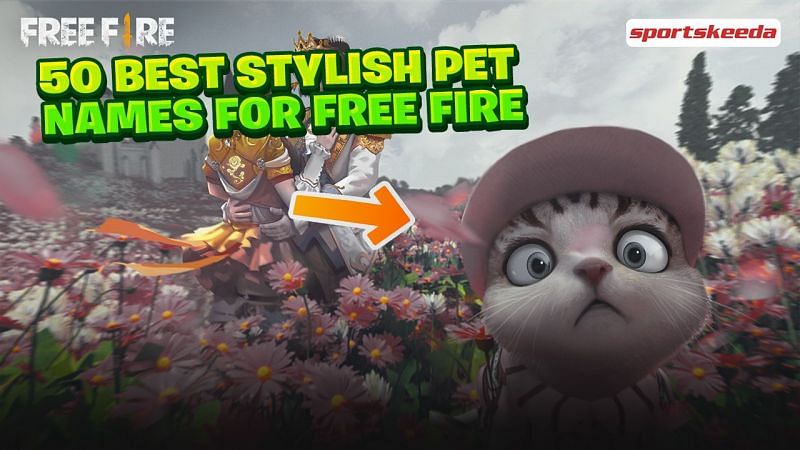 Free Fire: 50 best stylish pet names for players