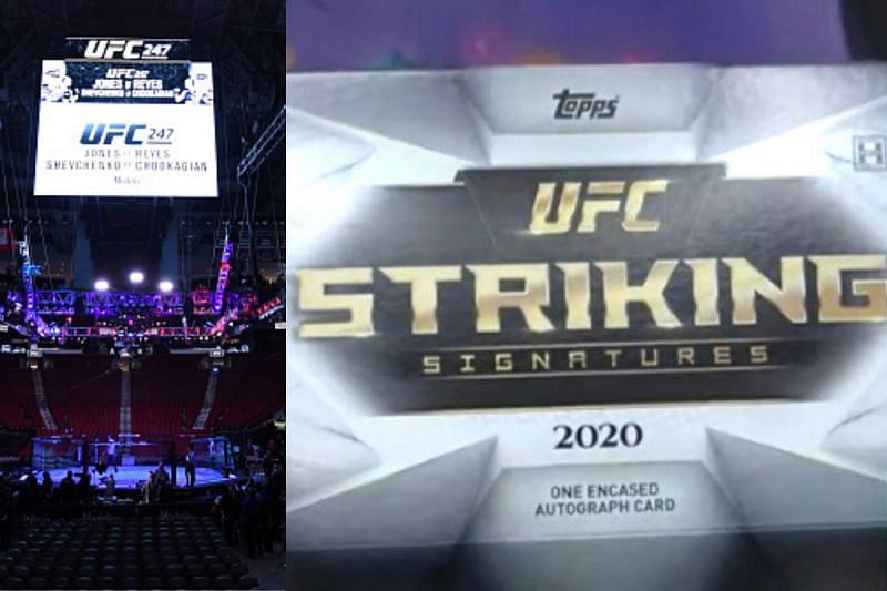 Why are UFC trading cards a rage among collectors?