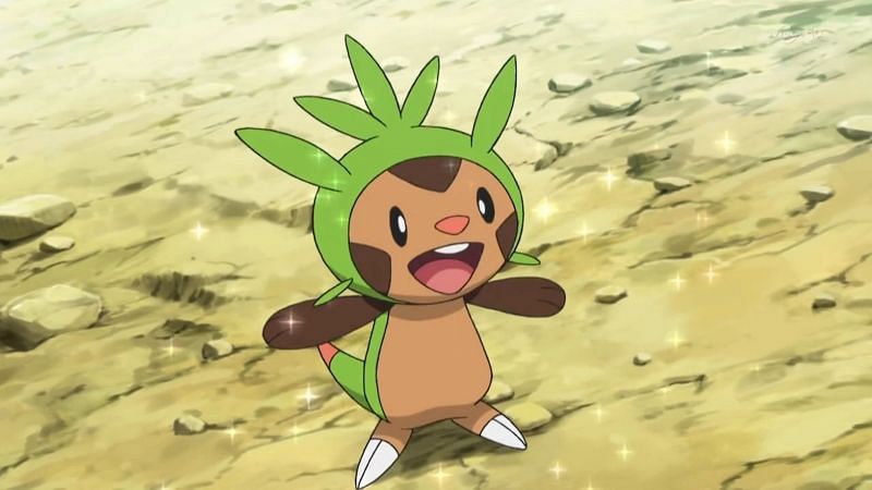 Chikorita, Pokémon Wiki