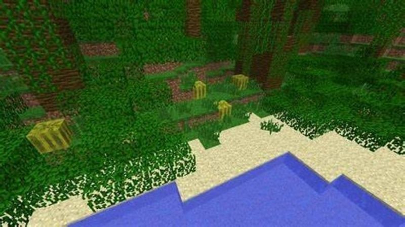 Melons in a jungle biome in Minecraft (Image via minecraftpc.fandom.com)