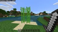Suagrcane in Minecraft