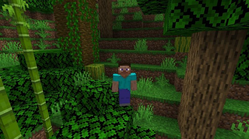 Melons can grow naturally in a jungle biome in Minecraft (Image via Minecraft)