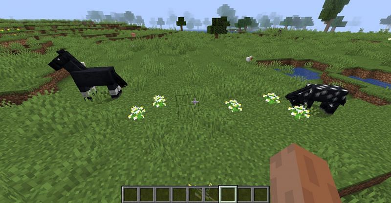 Two horses encountered out in the wild in Minecraft. (Image via Minecraft)