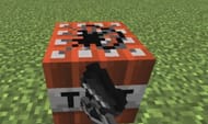 Activating a TNT Block with Flint & Steel