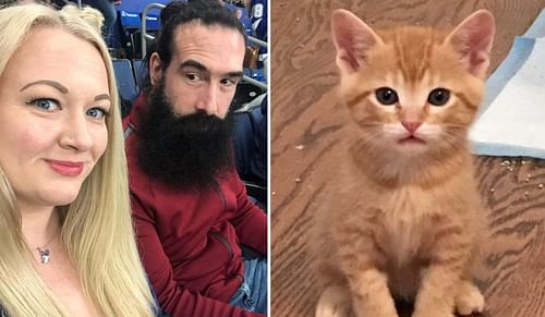 Brodie Lee proposed to Amanda using a cute kitten