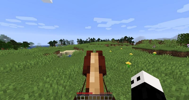 How to Tame and Ride a Horse in Minecraft - GeeksforGeeks