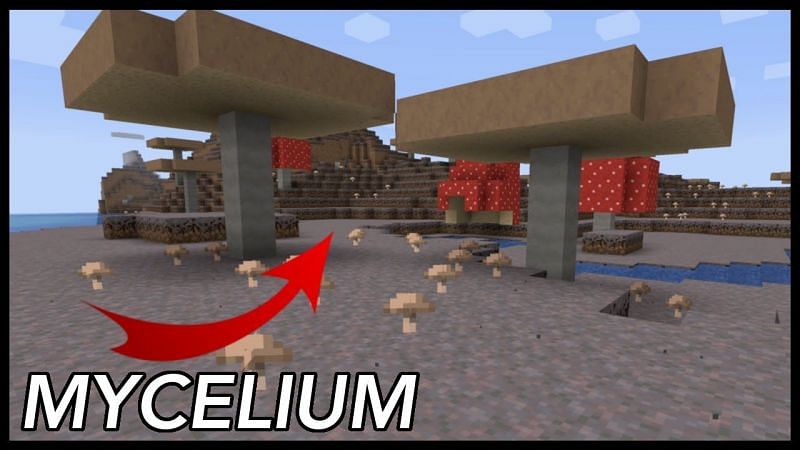 A brief guide on what Mycelium blocks are in Minecraft and how to obtain them. (RajCraft/YouTube)