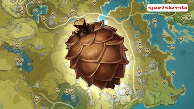 Where to find Pinecones in Genshin Impact? (Image via Sportskeeda - Genshin Impact)